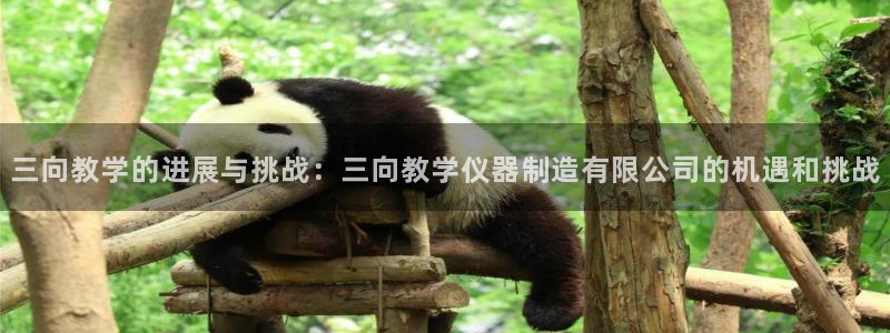 恒行2尤74OOO5：三向教学的进展与挑战：三向教学仪器制造