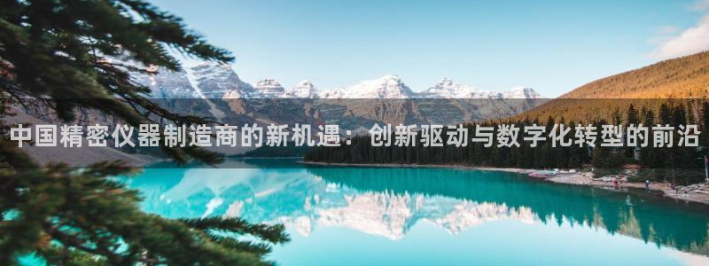 恒行娱乐热74ooo5主宰：中国精密仪器制造商的新机遇：创新
