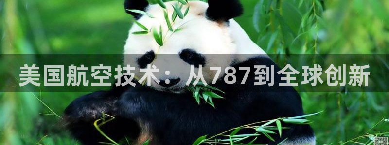恒行2冯74OOO5：美国航空技术：从787到全球创新