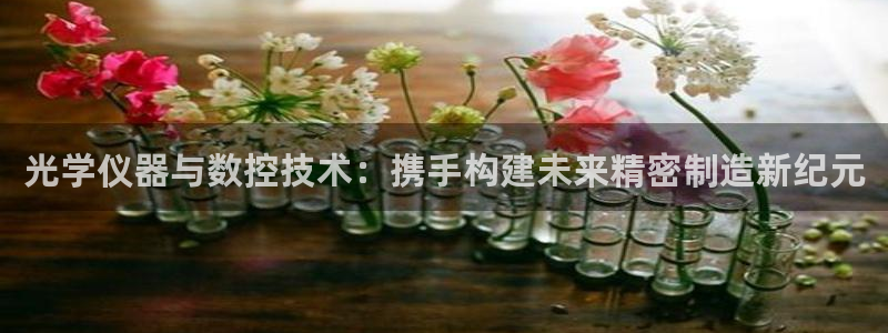 恒行2下74OOO5：光学仪器与数控技术：携手构建未来精密制