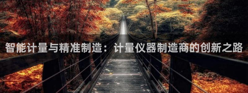 恒行登录老大6ll5l典型：智能计量与精准制造：计量仪器制造