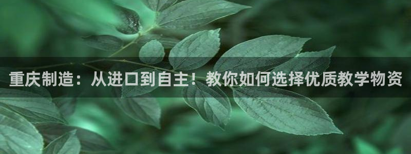 恒行开户全2O5o5O：重庆制造：从进口到自主！教你如何选择
