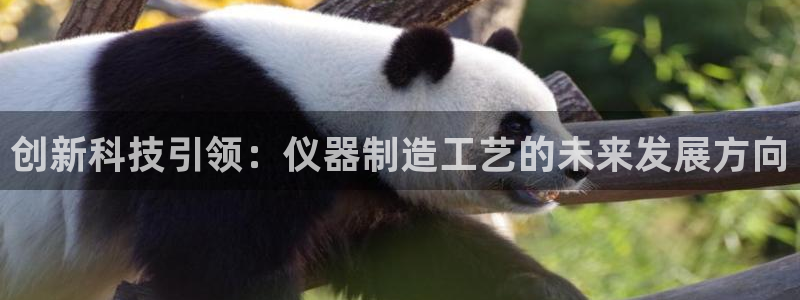 恒行招商老大诚挚 6ll5l：创新科技引领：仪器制造工艺的未