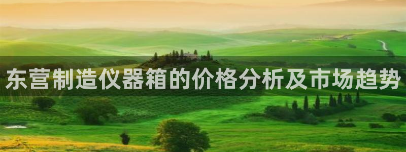 恒行娱乐5ll533主管优雅：东营制造仪器箱的价格分析及市场
