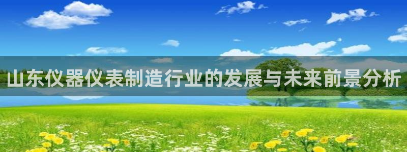 恒行2褚74OOO5：山东仪器仪表制造行业的发展与未来前景分