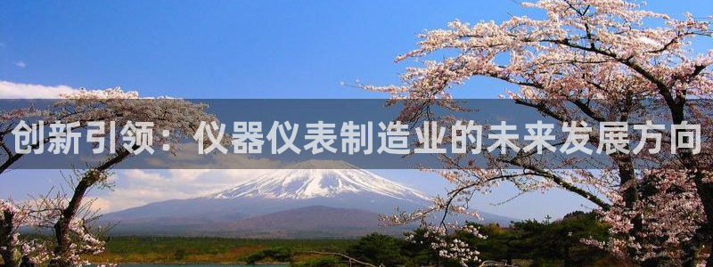 恒行2冯74OOO5：创新引领：仪器仪表制造业的未来发展方向