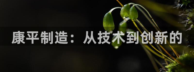 恒行2卫74OOO5：康平制造：从技术到创新的