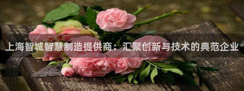 恒行2许74OOO5：上海智城智慧制造提供商：汇聚创新与技术