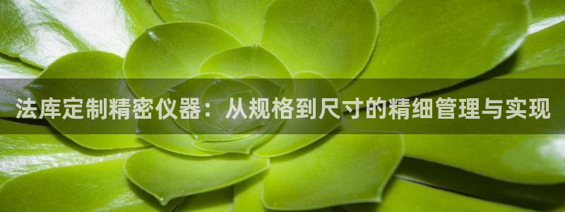 恒行2许74OOO5：法库定制精密仪器：从规格到尺寸的精细管