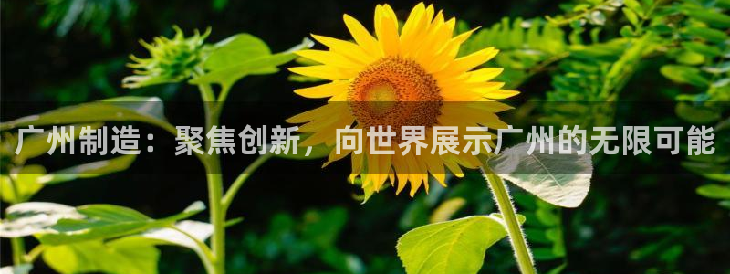 恒行2乃5O6917：广州制造：聚焦创新，向世界展示广州的无