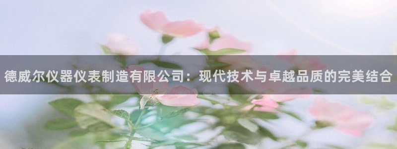 恒行2周74OOO5：德威尔仪器仪表制造有限公司：现代技术与