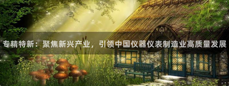 恒行2杨74OOO5：专精特新：聚焦新兴产业，引领中国仪器仪
