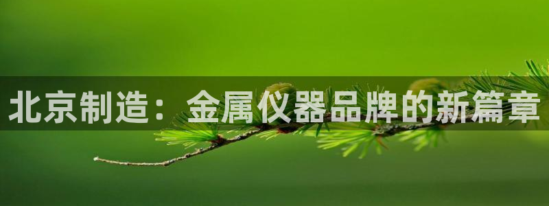 恒行注册全2O5O5O：北京制造：金属仪器品牌的新篇章