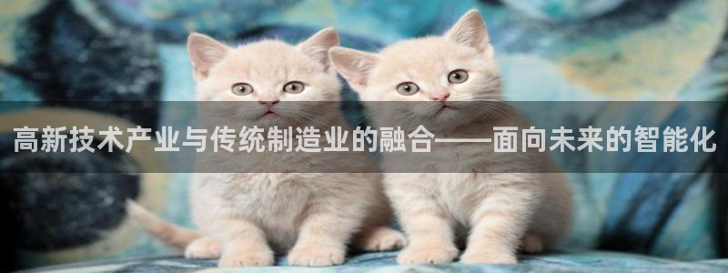 恒行2地74OOO5：高新技术产业与传统制造业的融合——面向