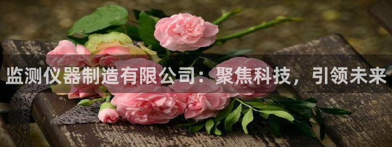 恒行2吕74OOO5：监测仪器制造有限公司：聚焦科技，引领未