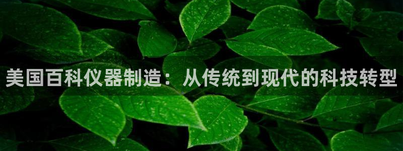 恒行娱乐掌74ooo5呀蚕：美国百科仪器制造：从传统到现代的