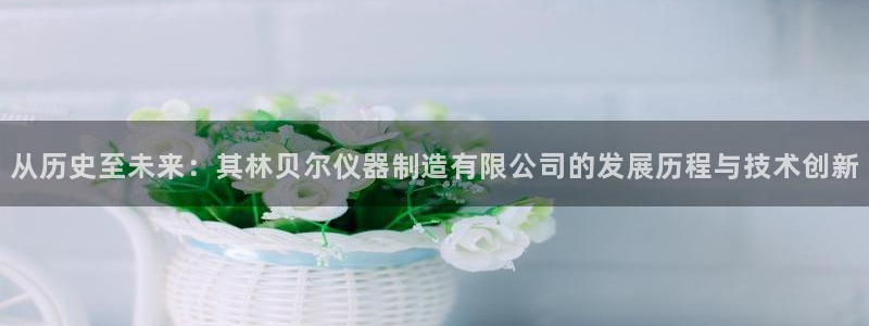 恒行3乃5O6917：从历史至未来：其林贝尔仪器制造有限公司
