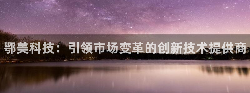 恒行娱乐蜗74ooo5指磁：鄂美科技：引领市场变革的创新技术