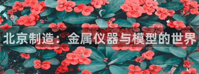 恒行2许74OOO5：北京制造：金属仪器与模型的世界
