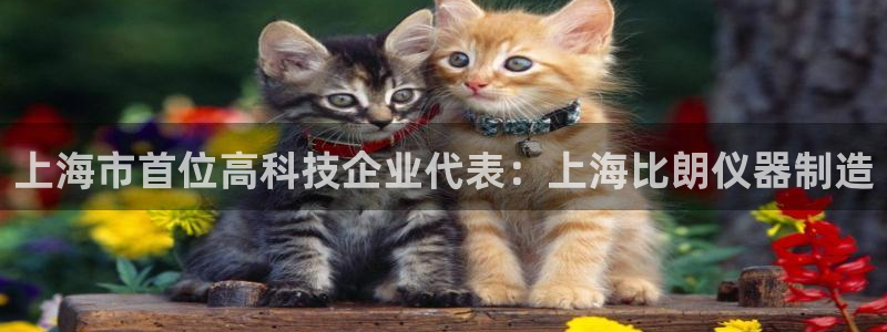 恒行娱乐芍皇74ooo5蛹：上海市首位高科技企业代表：上海比