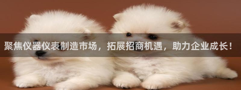 恒行登录就搜6ll5l：聚焦仪器仪表制造市场，拓展招商机遇，