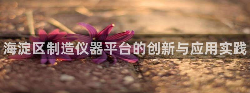恒行娱乐周74OOO5：海淀区制造仪器平台的创新与应用实践
