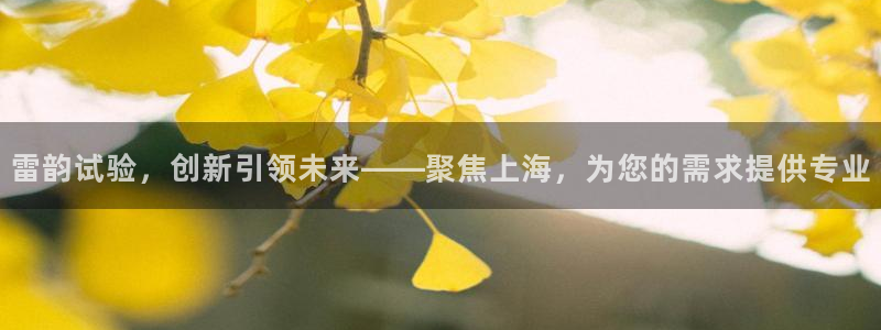 恒行注册全2O5O5O：雷韵试验，创新引领未来——聚焦上海，