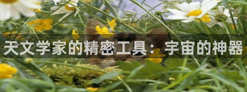 恒行3乃5O6917：天文学家的精密工具：宇宙的神器