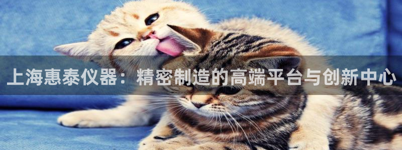 恒行娱乐见5ll533主管：上海惠泰仪器：精密制造的高端平台