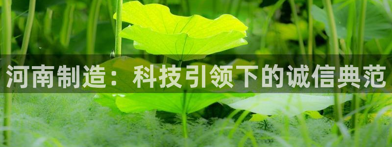 恒行彩票亏5千：河南制造：科技引领下的诚信典范