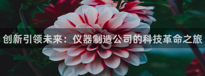 恒行2周74OOO5：创新引领未来：仪器制造公司的科技革命之