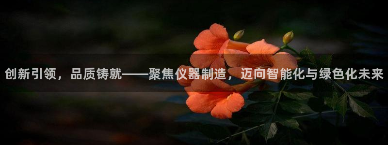 恒行2沈74OOO5：创新引领，品质铸就——聚焦仪器制造，迈