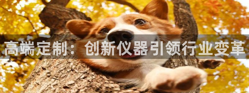 恒行娱乐寻问74 5：高端定制：创新仪器引领行业变革