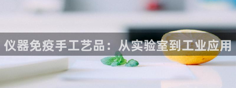 恒行2卫74OOO5：仪器免疫手工艺品：从实验室到工业应用