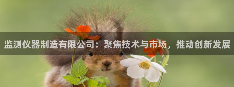 恒行娱乐陈74OOO5：监测仪器制造有限公司：聚焦技术与市场