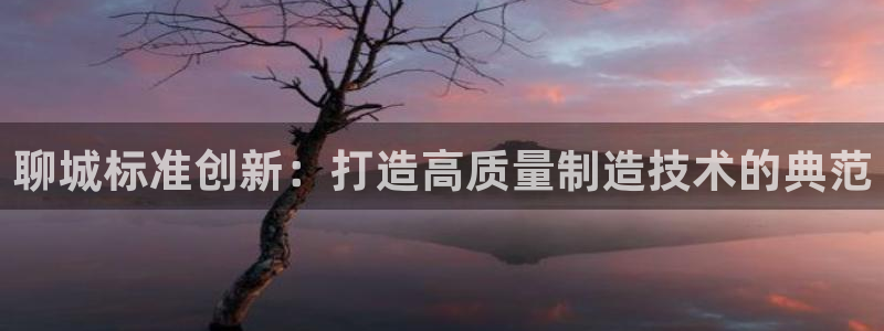 恒行娱乐卫74OOO5：聊城标准创新：打造高质量制造技术的典