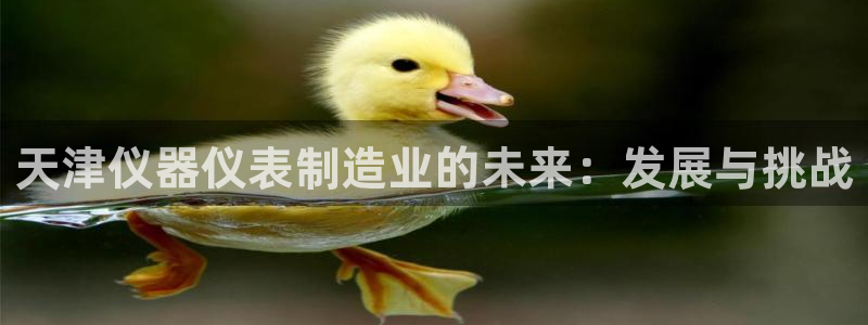 恒行娱乐登录5ll533主管一流：天津仪器仪表制造业的未来：