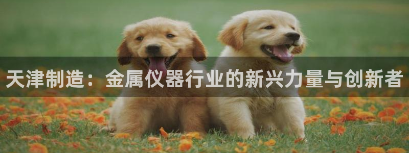 恒行2那74OOO5：天津制造：金属仪器行业的新兴力量与创新
