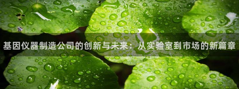 恒在5行中代表什么数字：基因仪器制造公司的创新与未来：从实验