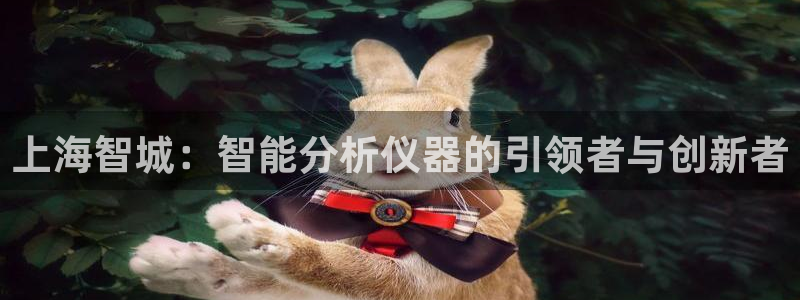 恒行娱乐芍皇74ooo5蛹：上海智城：智能分析仪器的引领者与