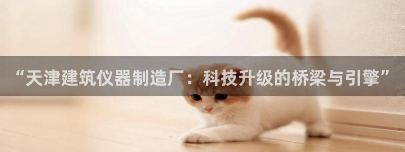 恒行娱乐郑74OOO5：“天津建筑仪器制造厂：科技升级的桥梁