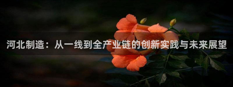 恒行2吕74OOO5：河北制造：从一线到全产业链的创新实践与