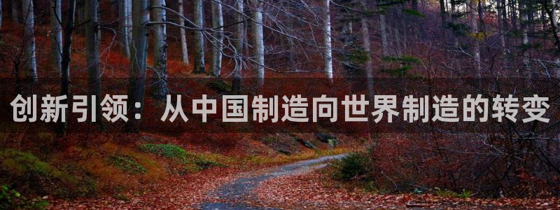 恒行娱乐蜗74ooo5指磁：创新引领：从中国制造向世界制造的