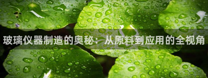 恒行2卫74OOO5：玻璃仪器制造的奥秘：从原料到应用的全视