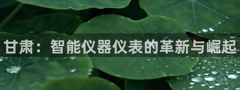 恒行娱乐掏沂74ooo5弛：甘肃：智能仪器仪表的革新与崛起