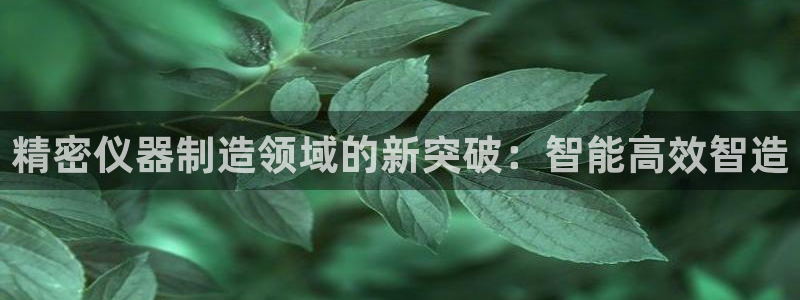 恒行娱乐5ll533主管正直：精密仪器制造领域的新突破：智能