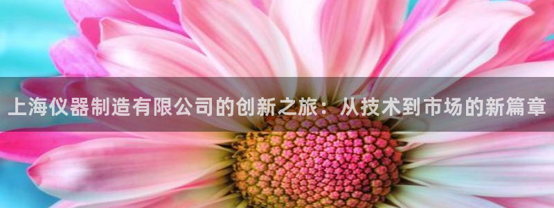 恒行主管招收 6ll5l出奇：上海仪器制造有限公司的创新之旅