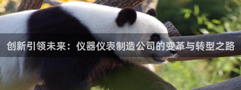 恒行2陈74OOO5：创新引领未来：仪器仪表制造公司的变革与