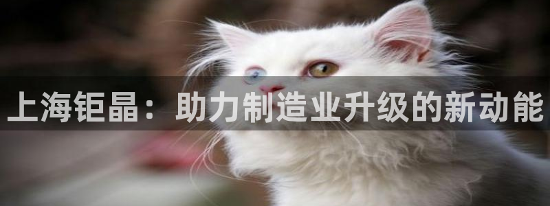 恒行娱乐登录信用 74ooo5：上海钜晶：助力制造业升级的新