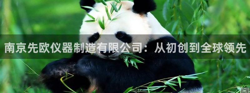恒行5娱乐：南京先欧仪器制造有限公司：从初创到全球领先
